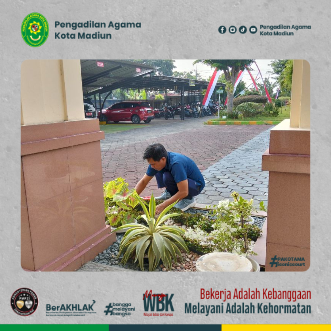 pakotamaig-fb6e3kukf5f-93bkkkka-4388-ac19-48ad32ukuka4307b.jpg